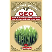 Geo Trigo Duro Semillas para germinar- Marrón- 12.7x0.7x20 cm